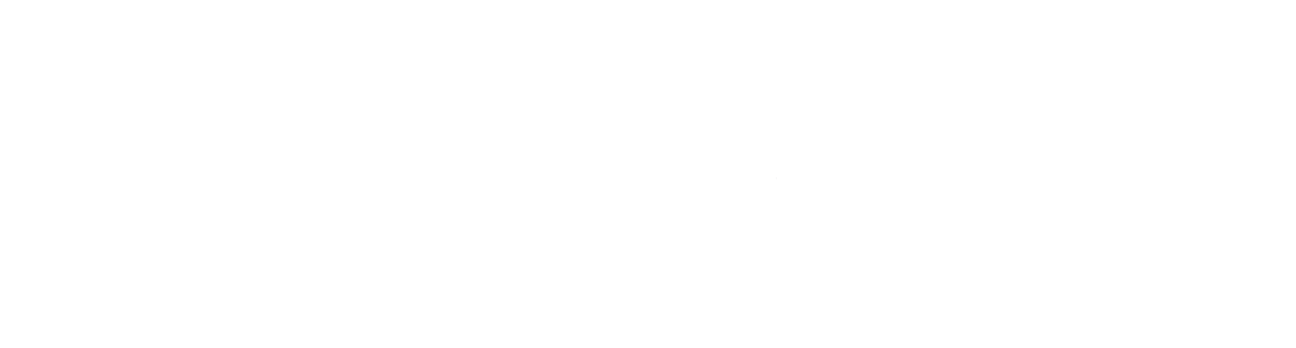 nextbrand logo (White)